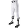 EvoShield Youth Salute Knicker Baseball Pants (White) 1 EvoShield Youth Salute Knicker Baseball Pants (White) -Deals Baseball Store 71kwt1rnxql. ac sx679