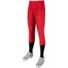 Champro Fireball Womens Fastpitch Softball Knickers W/ Reinforced Double-Ply Knee (Scarlet) 2 Champro Fireball Womens Fastpitch Softball Knickers W/ Reinforced Double-Ply Knee (Scarlet) -Deals Baseball Store cha frbllsoftbpnt bp39gscm ythscar 1 b519adf9 293b 4086 9f2b f46f449017b7