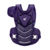 Easton Jen Schro The Very Best Fastpitch Softball Catchers Chest Protector (Purple)
